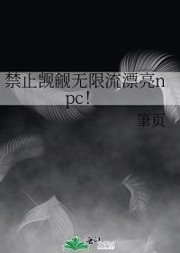 ��ֹ����������Ư��npc��