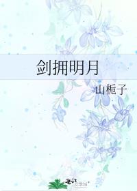 ��ӵ����