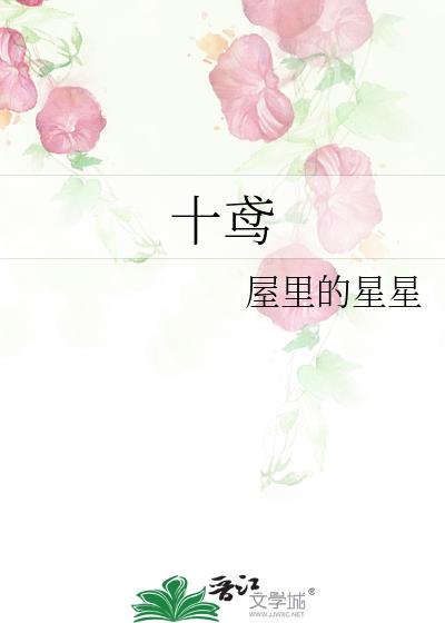 ʮ�