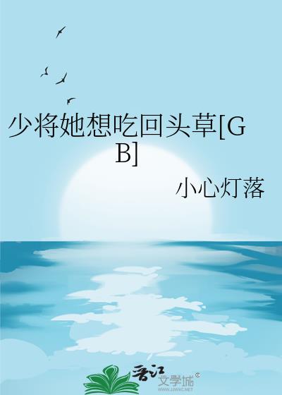 �ٽ�����Ի�ͷ��[GB]