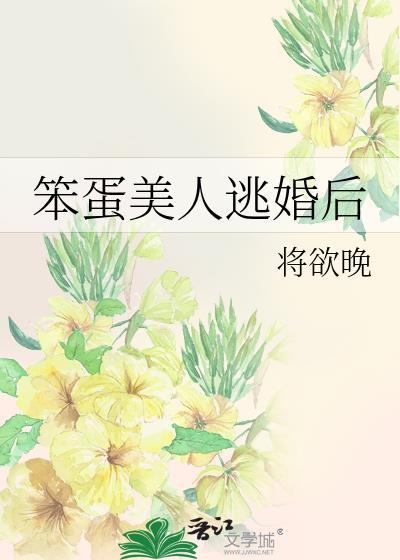 ���������ӻ��