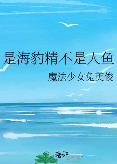 �Ǻ�������������