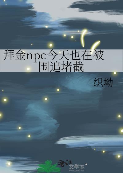 �ݽ�npc����Ҳ�ڱ�Χ׷�½�