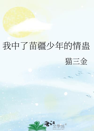 �������置��������