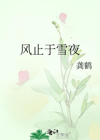 ��ֹ��ѩҹ