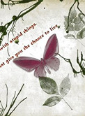 һ��һ�����˹�