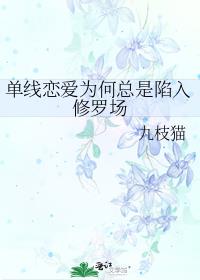 ��������Ϊ�������������޳�
