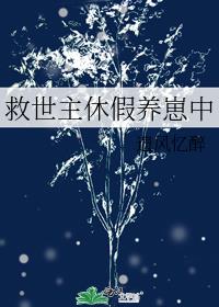 �������ݼ�������