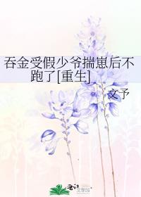 �̽��ܼ���ү���̺�����[����]
