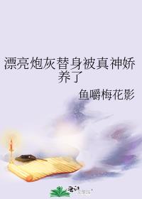 Ư���ڻ���������������